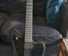 Harley benton electric guitar