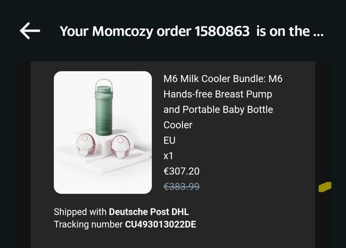 Momcozy M6 Hands-free Breast Pump and Cooler