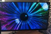 Dell UltraSharp 24 Monitor - P2422HE