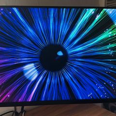 Dell UltraSharp 24 Monitor - U2424HE