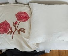 cushions x4