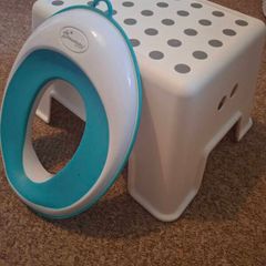 Toilet step and toilet seat