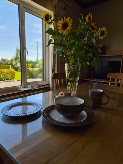 Denby  Mocha 16 piece dinner set