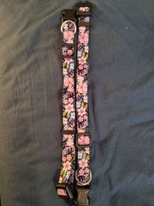 2 dog collars