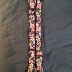 2 dog collars