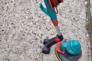 Trimmer Bosch
