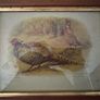 Pair of Antique Framed Game Bird Prints by Charles Whymper (c. 1900) Image 3