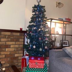 6ft Xmas tree