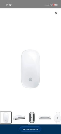 Apple mouse