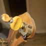 paramount a tenor banjo Image 10