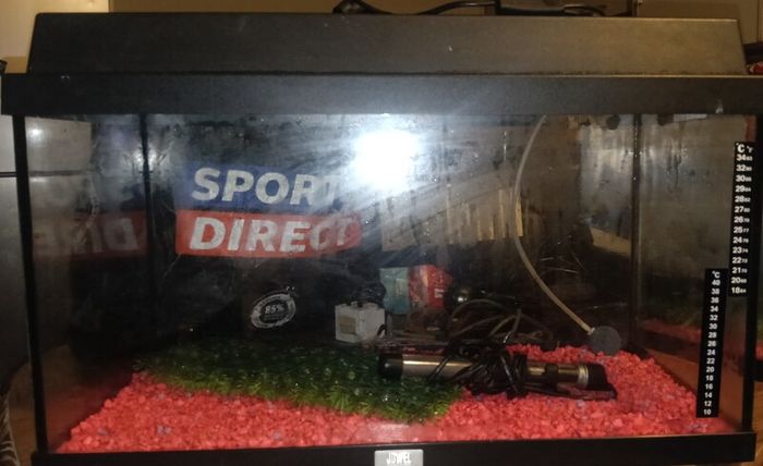 fish tank/ aquarium