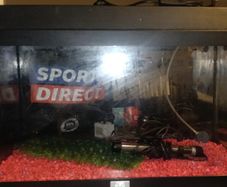 fish tank/ aquarium