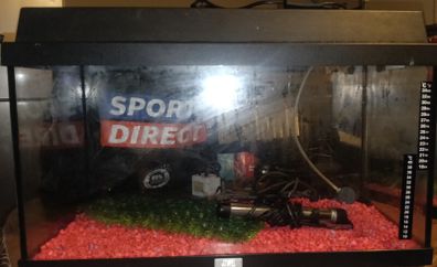 fish tank/ aquarium