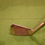 Fred Smith 3 iron Pro- Status Image 3