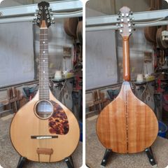 Handmade octave mandolin
