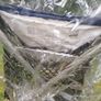 buggy and new rain cover Image 5