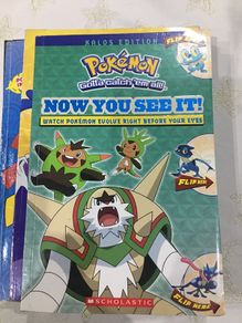 Pokemon 'Now You See It!' Book.
