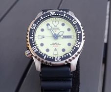 Automatic citizen promaster dive watch