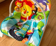 fisher price baby seat with vibrations