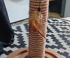 cat scratch post