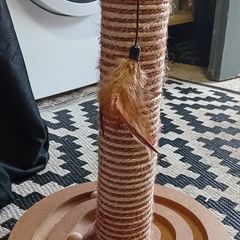 cat scratch post