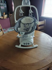 Joie Emeri 2-in-1 Baby Swing and Rocker Fern