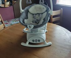 Joie Emeri 2-in-1 Baby Swing and Rocker Fern