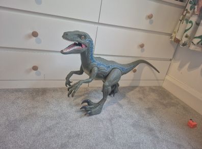 Large Dinosaur