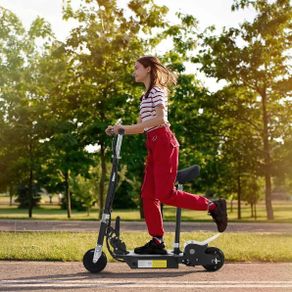 Electric Folding Scooter