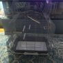 Bird Cage-large Image 3