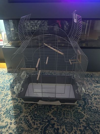 Bird Cage-large
