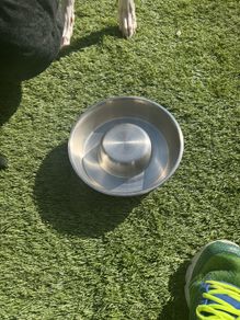 Dog Items - all new