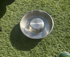 Dog Items - all new
