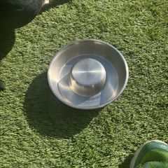 Dog Items - all new