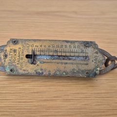 Salter Pocket Balance