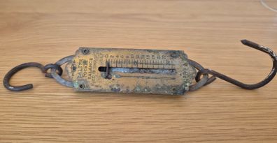 Salter Pocket Balance