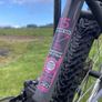 Serene Mountain Bike Image 2