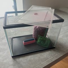 Aqua Dreams Starter Aquarium 18lt