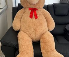 Giant Teddy Bear