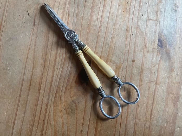 Vintage Silver Plated Grape Scissors Bone Handle