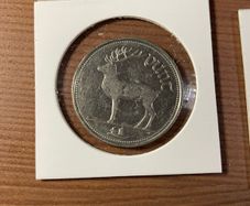 1 Punt Irish coin