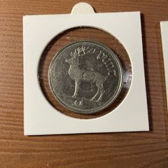 1 Punt Irish coin