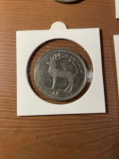 1 Punt Irish coin