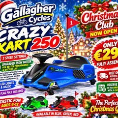 Kids Crazy Kart 250