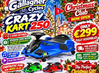 Kids Crazy Kart 250