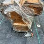 Oak handrail Image 9