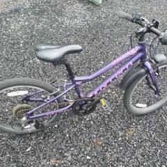 Carrera Saruna 20"