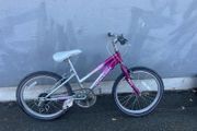 raleigh kids bike
