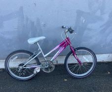raleigh kids bike