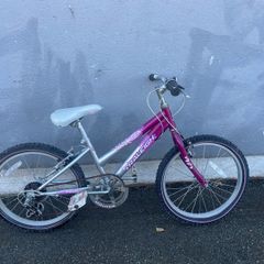 raleigh kids bike